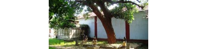 கந்தசுவாமி கோவில் - மாவிட்டபுரம் 